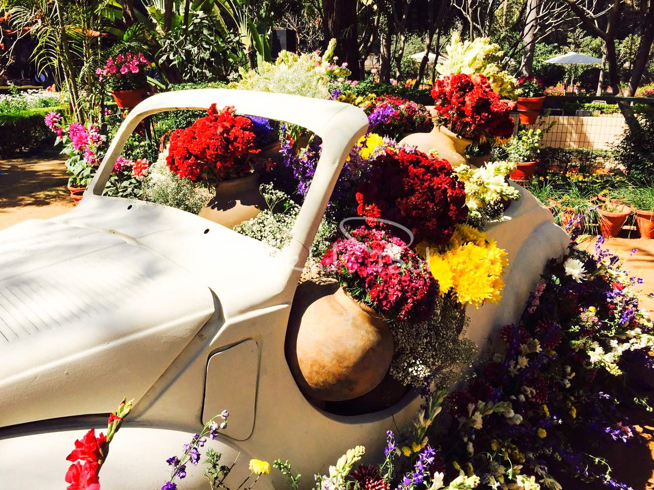 Floral Ride for Wedding Decor